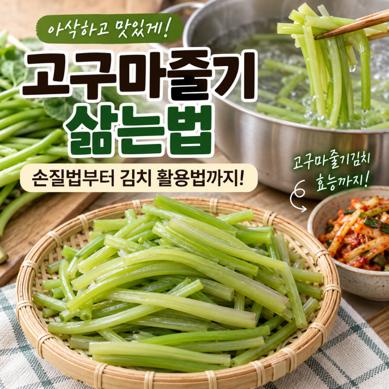 고구마줄기김치 효능정리 고구마줄기 삶기 고구마순김치 손질법