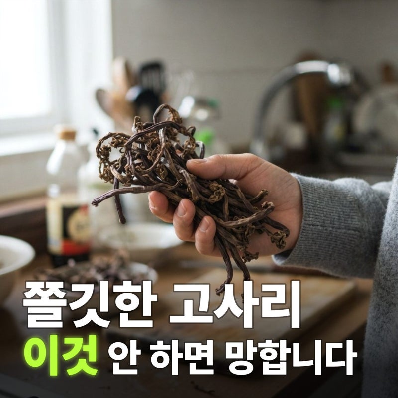 말린고사리 삶는법 쫄깃하게 만드는 꿀팁