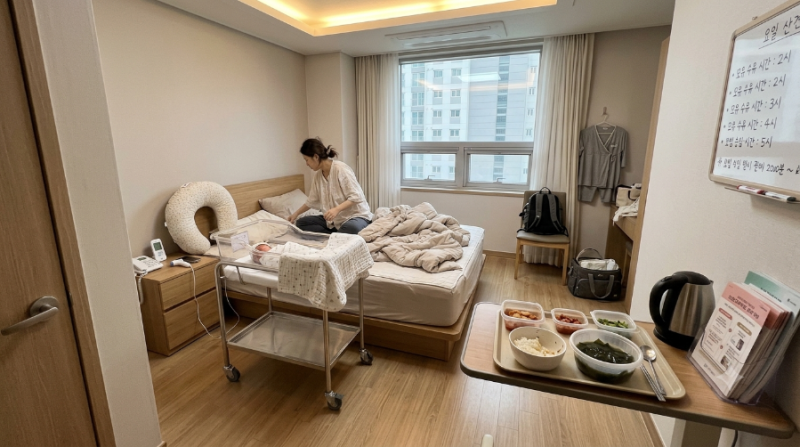 출산 앞두고 있었는데 갑자기 청천벽력… 경기도 산후조리비 50만원·산후도우미 라형 폐지 ....