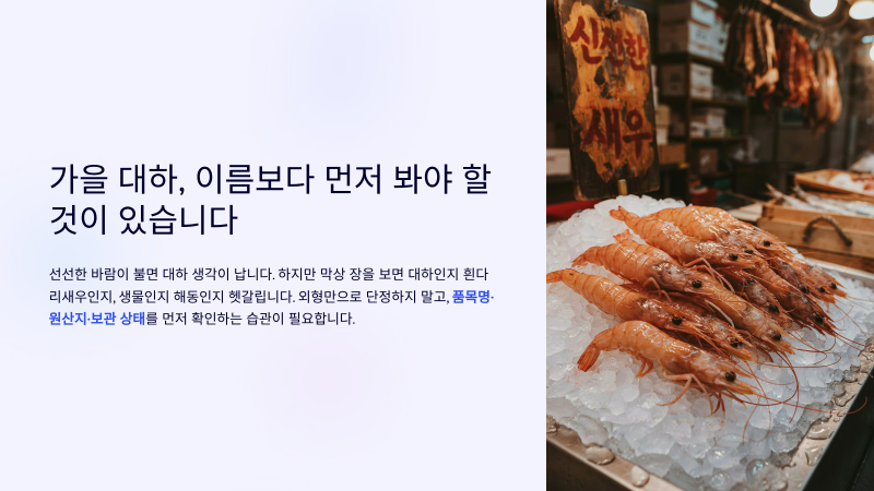 가을 새우 맛있게 먹는 법｜구입·손질·소금구이·보관 총정리