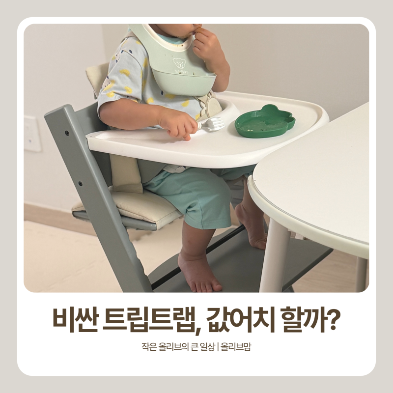 스토케 트립트랩 베이비세트 1년 사용 후기 | 쿠션 방석 하네스