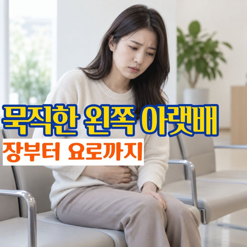 왼쪽하복부통증 콕콕 묵직하게 아픈 위치로 보는 하복부통증 원인과 의심 질환