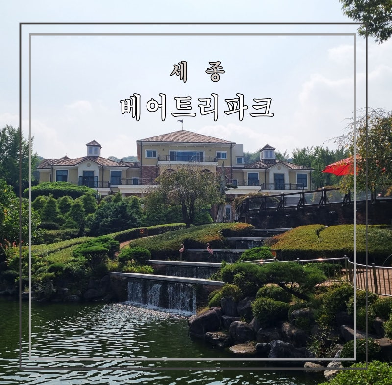 세종 아이와 가볼만한 곳 베어트리파크｜입장료 산책코스 곰먹이주기