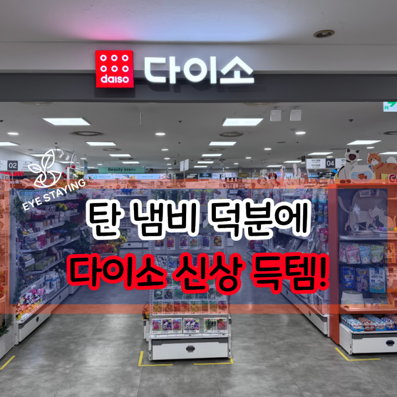 탄 냄비 구하러 다이소 갔다가 숨은 주방 알짜템까지!!