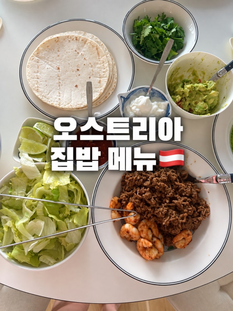오스트리아 비엔나 집밥 모음 26년 8월