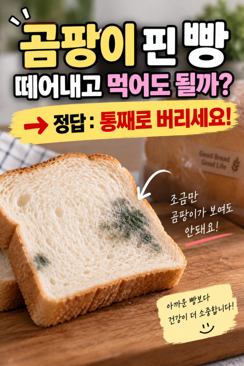 곰팡이 핀 빵, 떼어내고 먹어도 될까? 아까워도 ‘통째로’ 버리세요