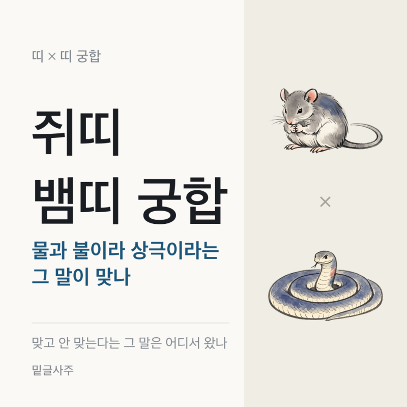 쥐띠 뱀띠 궁합, 물과 불이라 상극이라는 그 말이 맞나요