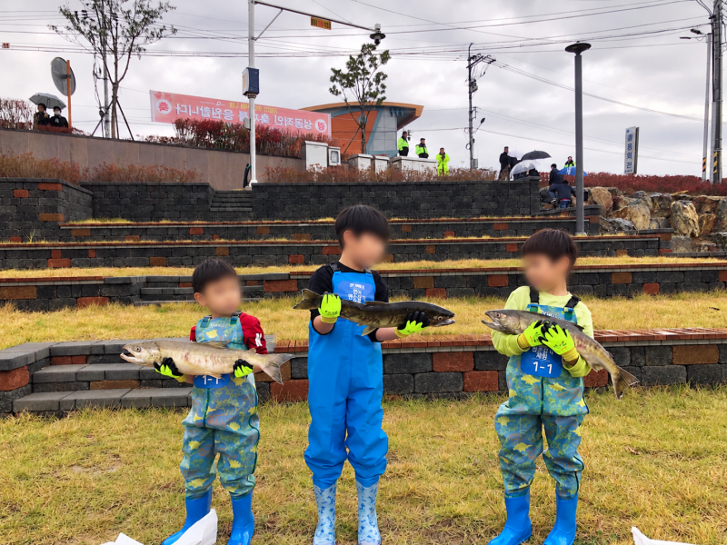 아이와 양양여행, 2026 양양송이연어축제 | 양양숙소 마레온양양에서 가을여행