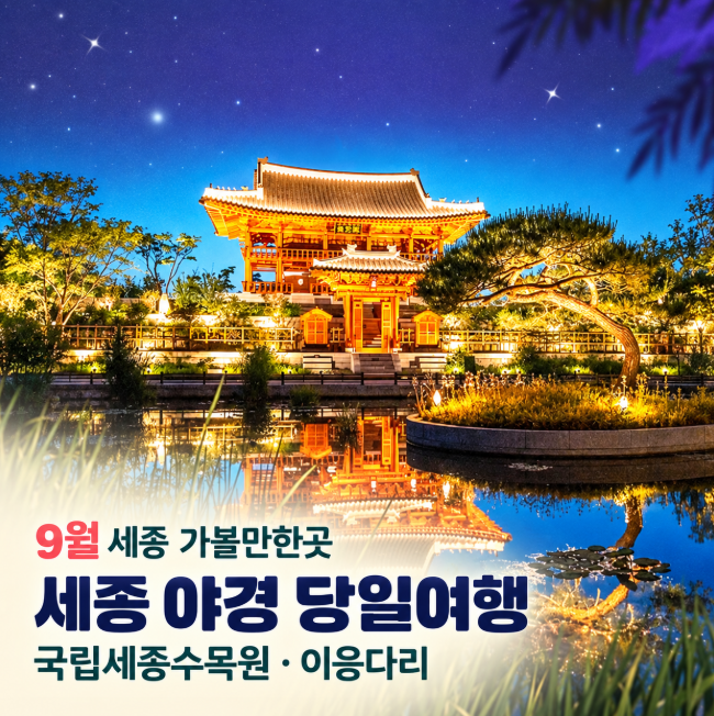 세종 야경 보러 간다면 국립세종수목원 야간개장·이응다리까지 같이 보기
