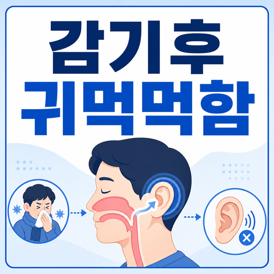 감기 뒤 귀가 먹먹할 때, 코와 귀 사이를 살피는 순서