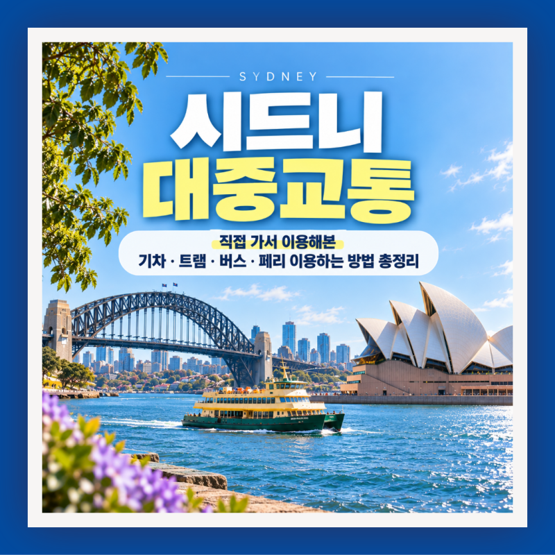 [ 시드니 대중교통 ] 기차 트램 버스 페리 이용하는 방법 총 정리