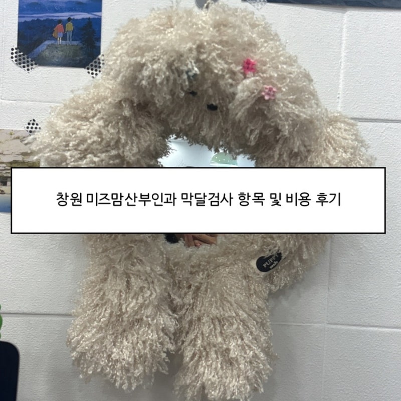 창원 미즈맘산부인과 막달 검사 항목 및 비용 후기 (임신 35주)