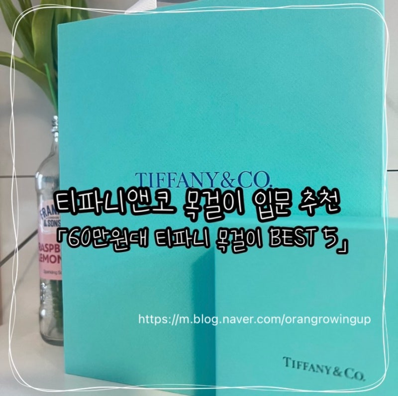 티파니앤코 목걸이 입문 추천 :: 60만원대부터 시작하는 첫 티파니 「60만원대 티파니 목걸이 ....