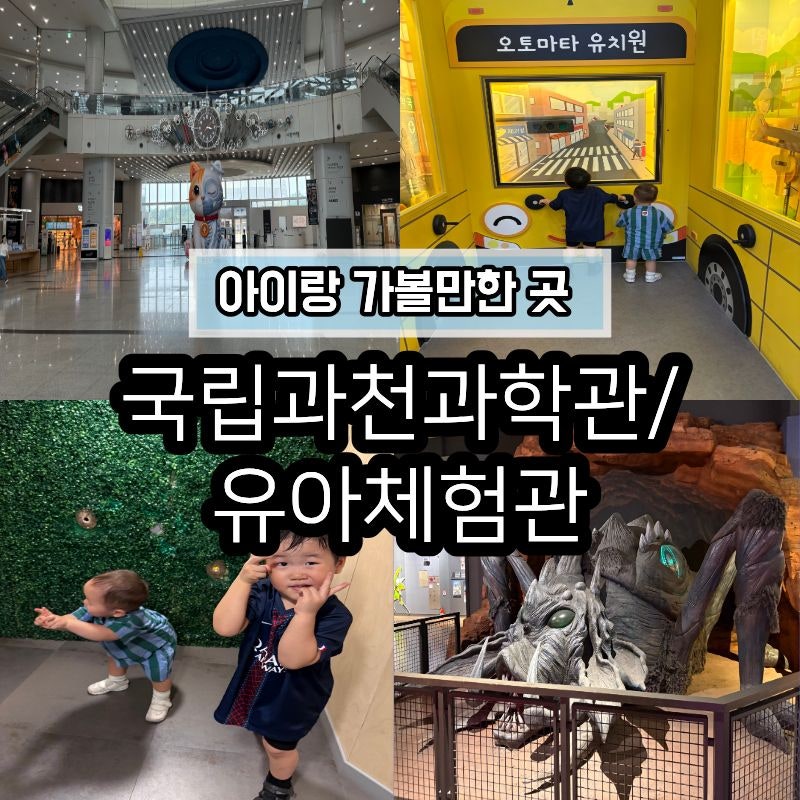 [과천] 아이랑 과천 나들이 추천 |상설전시관부터 유아체험관까지 볼거리 가득했던 국립과....