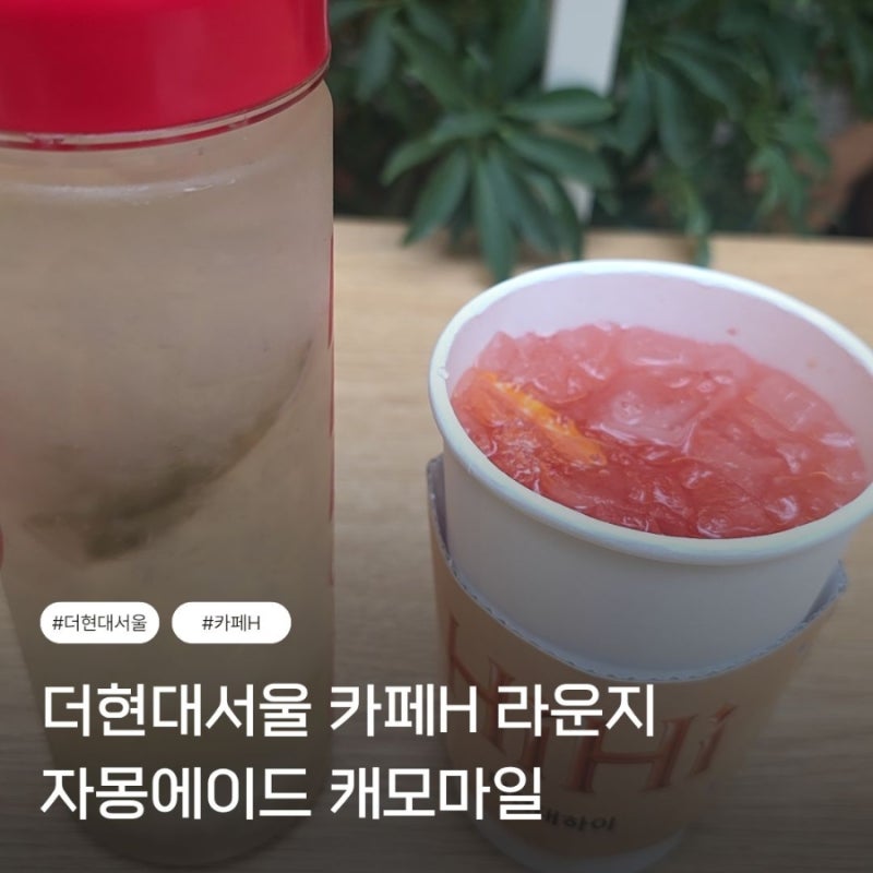 카페H라운지 더현대서울 그린고객 무료음료(캐모마일, 자몽에이드) 이용후기 및 상품권교환