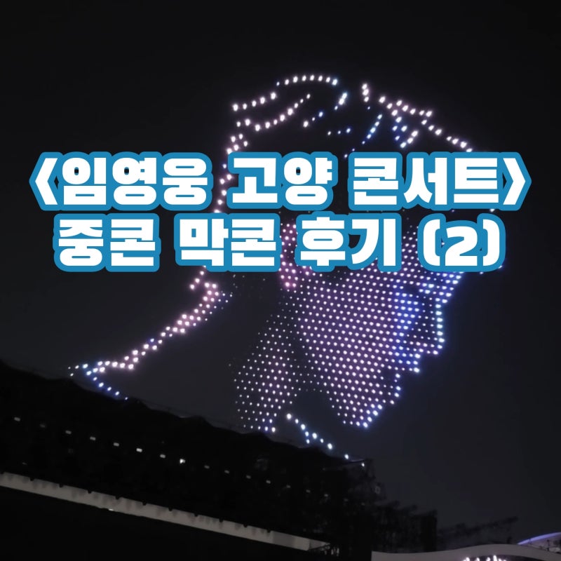 임영웅 고양 콘서트 후기 및 영상, 7년차 남팬의 찐 후기 (2)