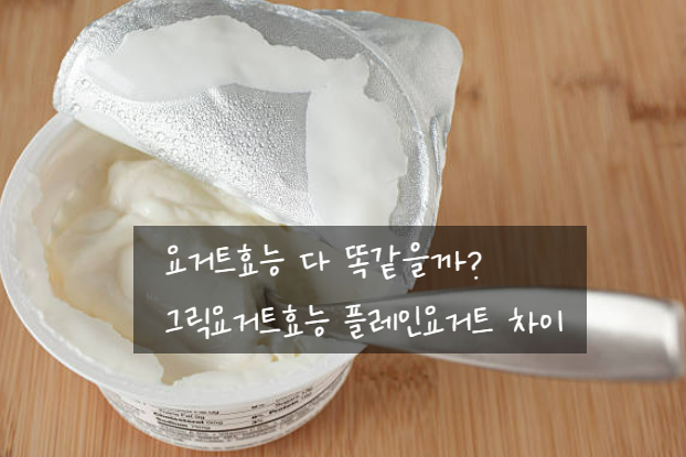 요거트효능 다 똑같을까? 그릭요거트효능 플레인요거트 차이