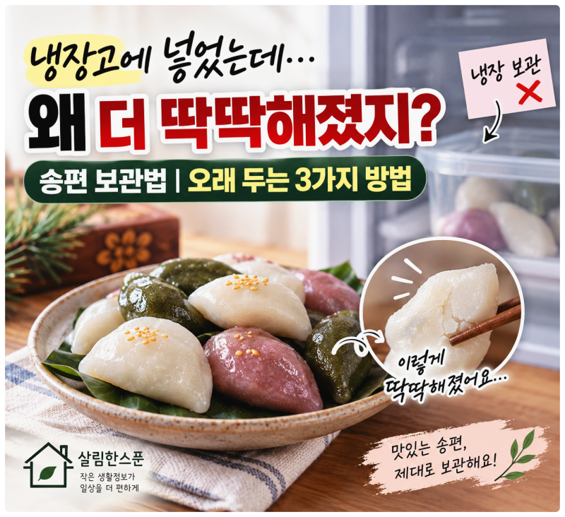송편 보관법｜냉장고에 넣었는데 더 빨리 굳었다? 오래 두는 3가지 방법