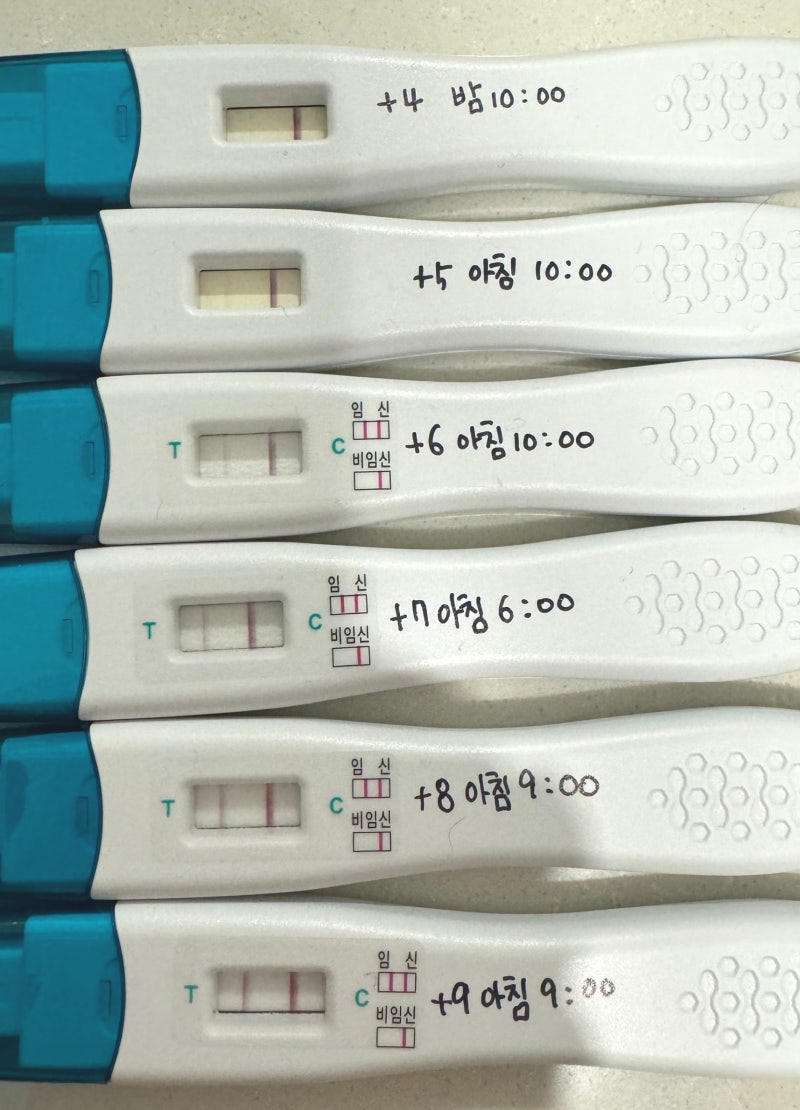 PGT-A 통배 이식 D+4 임테기 언제부터? 첫째 성공 기록 보다가 결국 얼리 임테기 주문