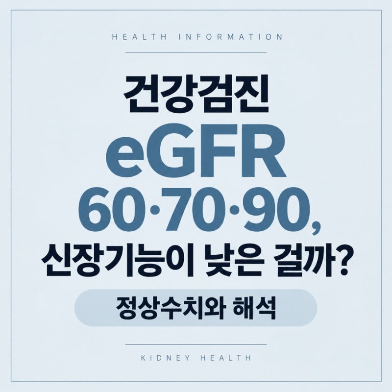 건강검진 eGFR 60·70·90, 신장기능이 낮은 걸까? 정상수치와 해석