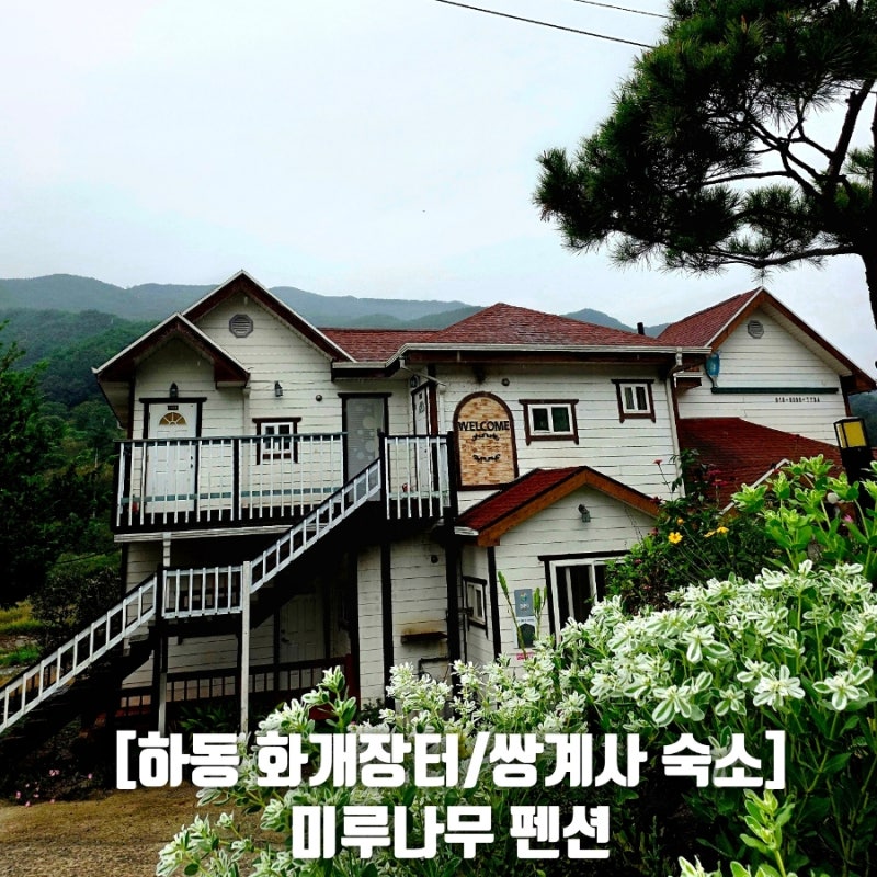 [하동 숙소] 화개장터 쌍계사 인근 숙소 '미루나무 펜션' 후기 (도보로 장터 &차밭 산책)