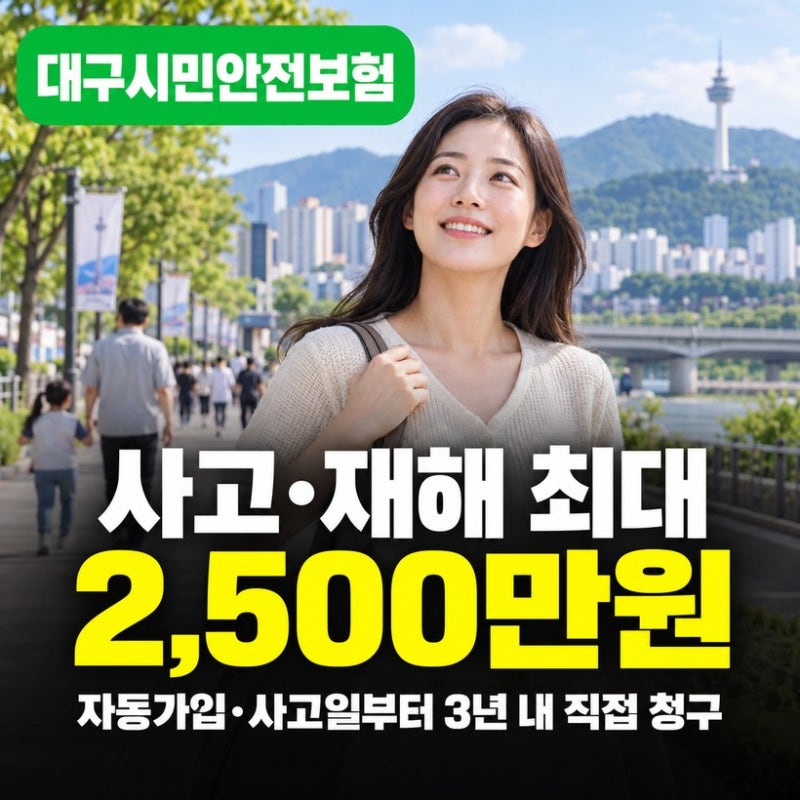 대구 시민안전보험 자동가입 대상·보장 20개 항목 총정리