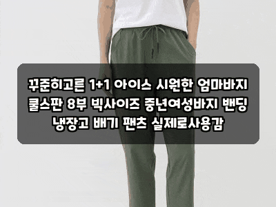 꾸준히고른 1+1 아이스 시원한 엄마바지 쿨스판 8부 빅사이즈 중년여성바지 밴딩 냉장고 배기....