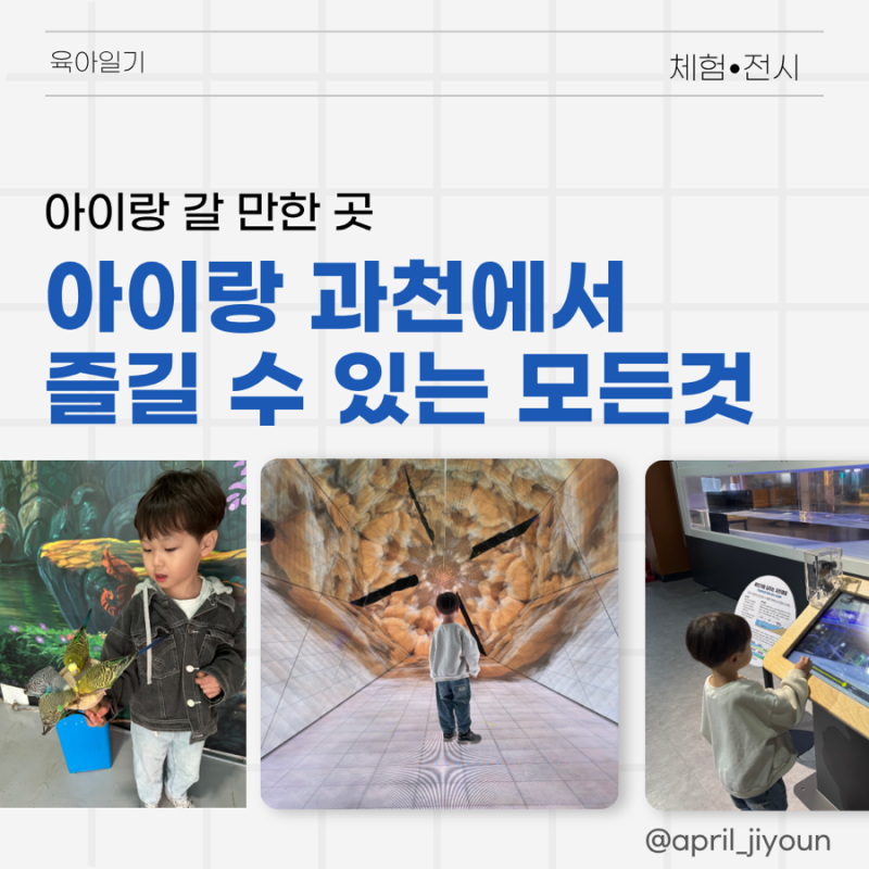 과천 아이랑 가볼만한곳 BEST 5 총정리 (서울랜드·동물원·과학관·원더파크·키카)