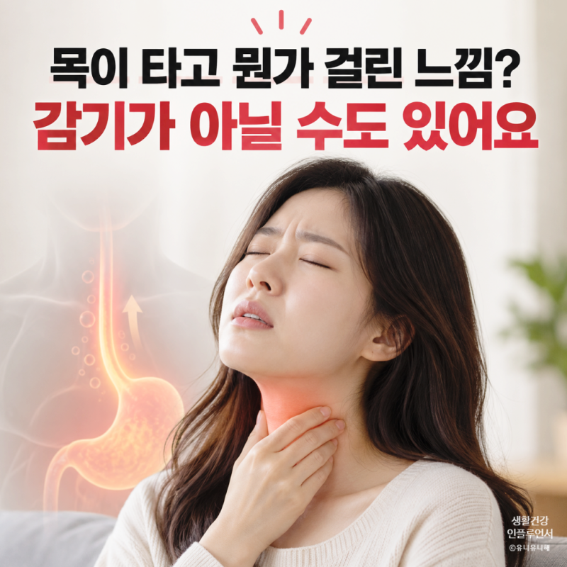 목이 타는 느낌에 이물감까지? 목감기 아닌 역류성 인후두염 신호