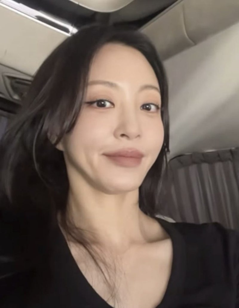 한예슬 임신설 진짜였을까? 육아 웹툰 한 장이 만든 반전