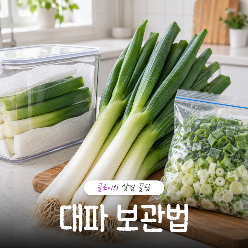 대파 보관법 한 단도 버리지 않도록 보관하는 꿀팁