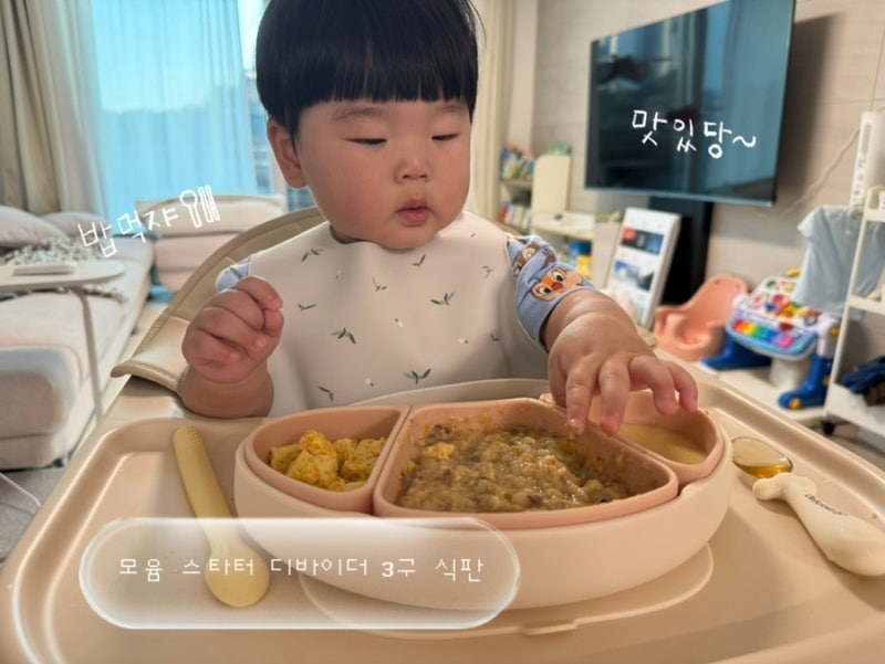 유아식 필수템 | 모윰 스타터 디바이더 3구 흡착식판 실사용후기