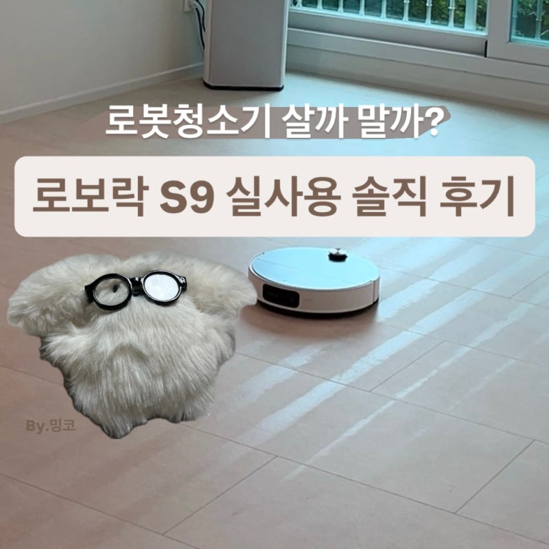 로봇청소기 150만원 제값 할까? 로보락 S9 직배수 2개월 솔직 후기