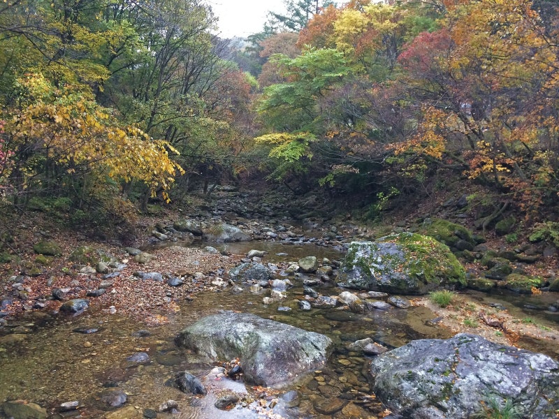 수도권 자연휴양림 가족여행 숲속 숙소 추천 5곳