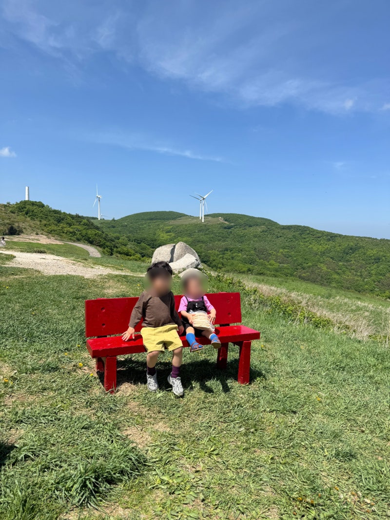 평창 대관령 하늘목장 아이와 후기 | 양떼목장·삼양목장 비교, 실버벨교회 깡통열차