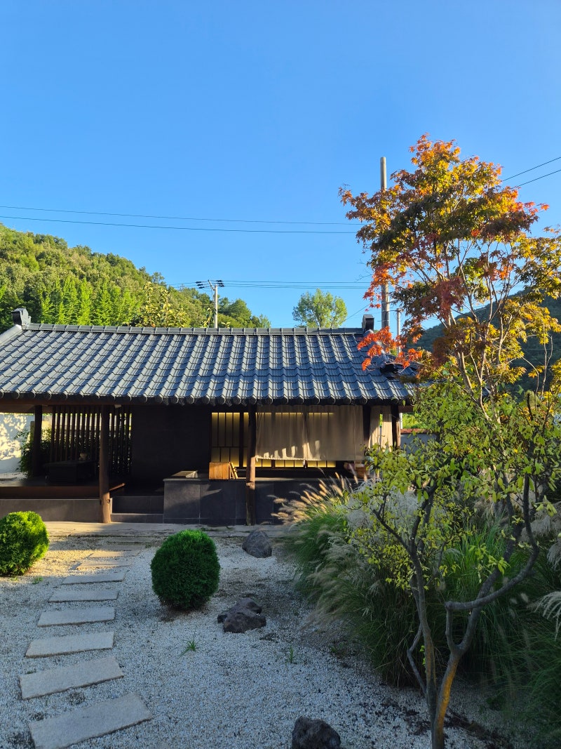 부산 근교 애견동반 펜션 경남 료칸 자쿠지 숙소, 스테이더담 창녕 성산점이 예약률 1위인 이....