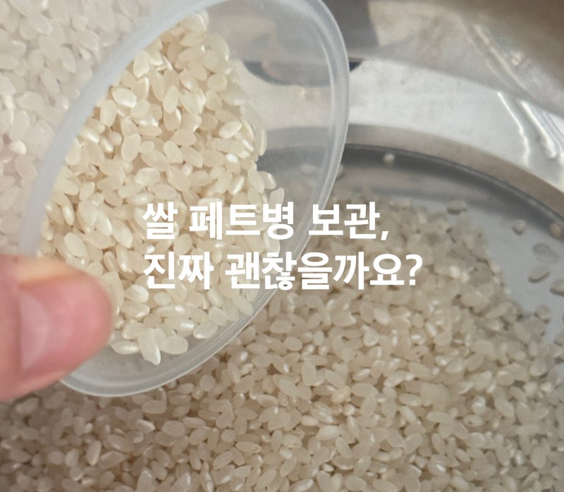 페트병에 쌀 보관 세균 폭탄? 안전하고 맛있는 쌀 보관법