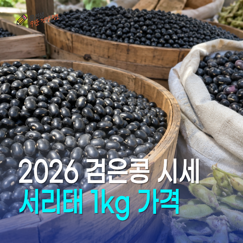 2026년 검은콩 시세, 서리태 1kg 가격