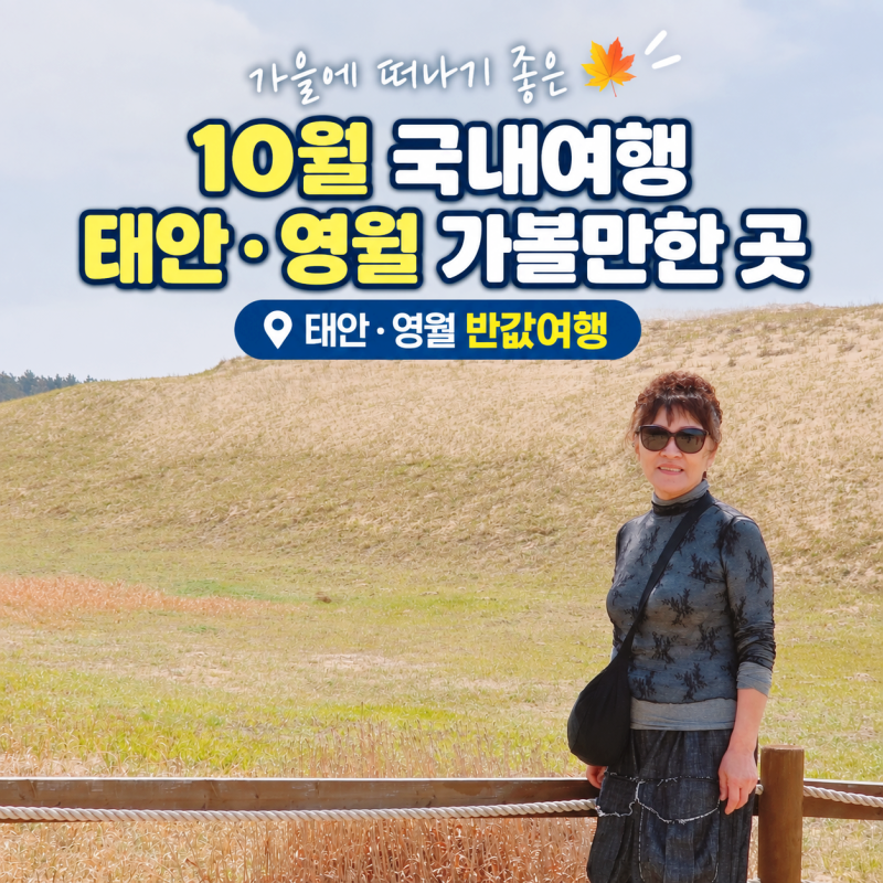 10월 국내여행지 추천 충남 태안 & 강원도 영월 가볼만한곳