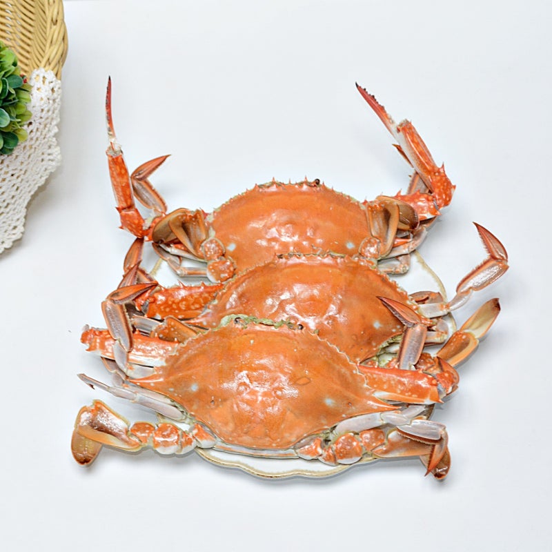 꽃게찌는법 찌는 시간 꽃게찜 하는법