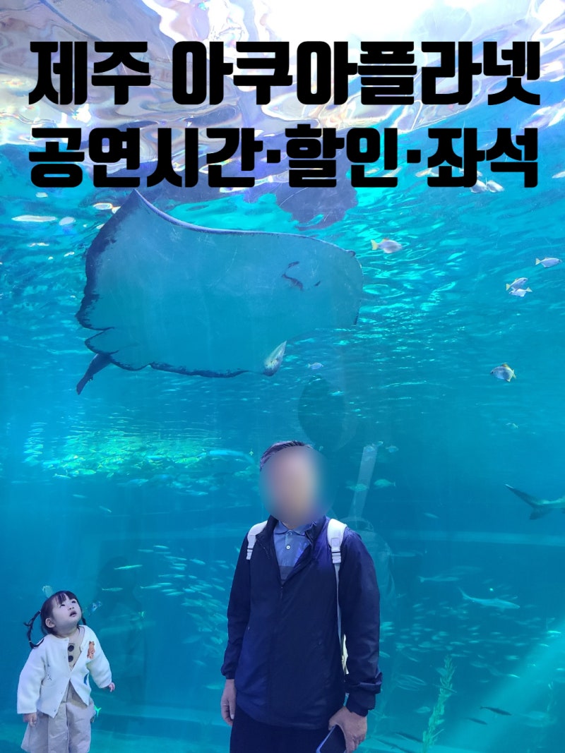 제주 아쿠아플라넷 공연시간부터 할인·이벤트·좌석까지 한 번에 정리