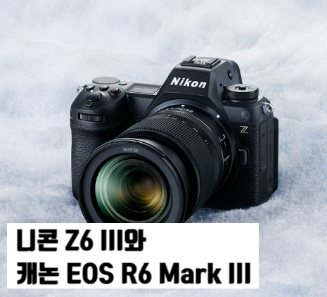 니콘 Z6 III와 캐논 EOS R6 Mark III, 내게 맞는 풀프레임 미러리스는?