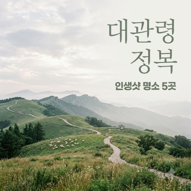 양떼만 있는 줄 알았는데.. 대관령 가볼만한곳 의외의 명소 5곳