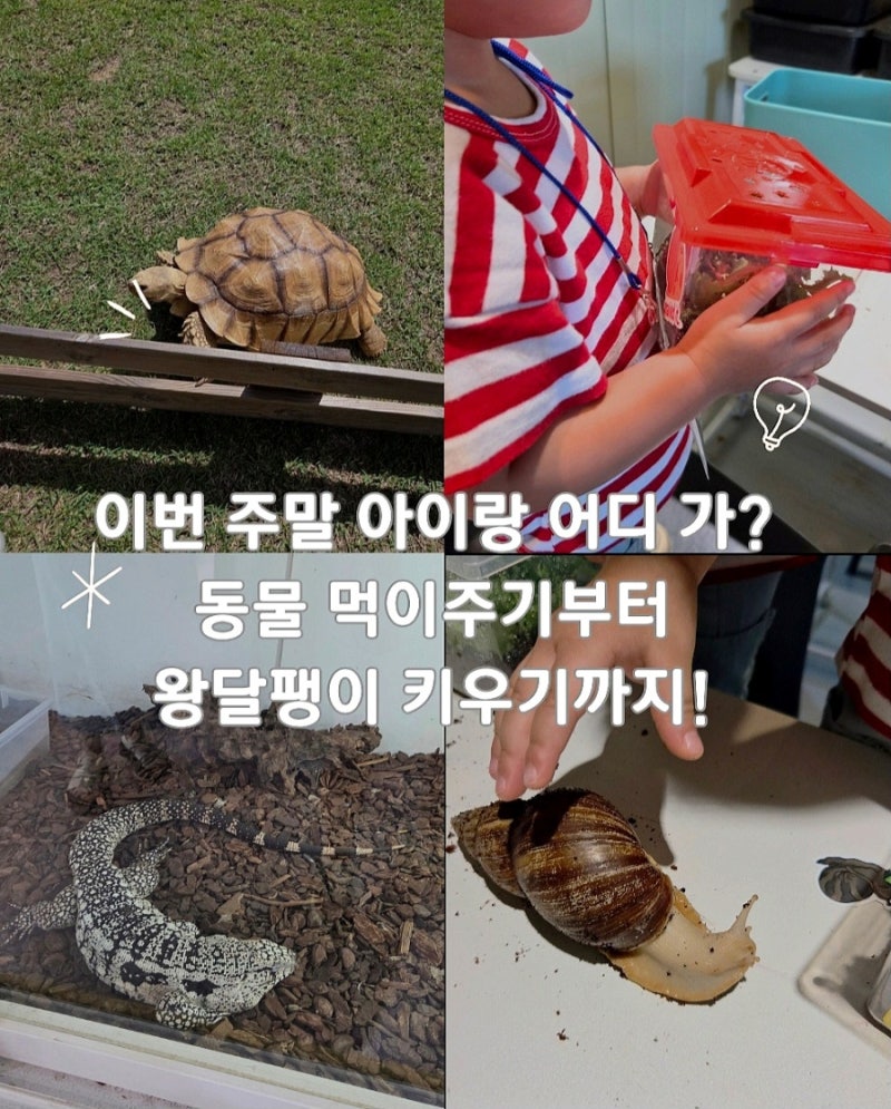 포천 포프 곤충테마파크 28개월 쌍둥이와 주말 나들이 솔직 후기