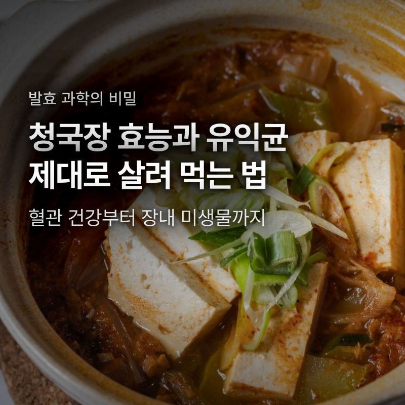 청국장 효능 다 날린다? 푹 끓이면 유익균 0마리 되는 이유와 섭취법
