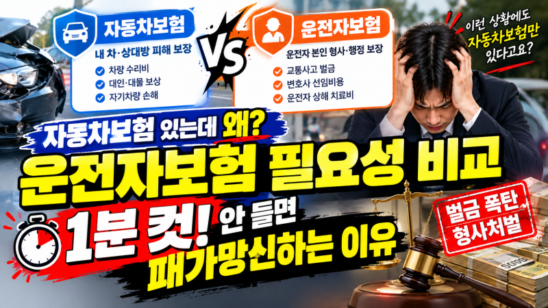 자동차보험 있는데 왜? 운전자보험 필요성 비교 1분 컷! 안 들면 패가망신하는 이유
