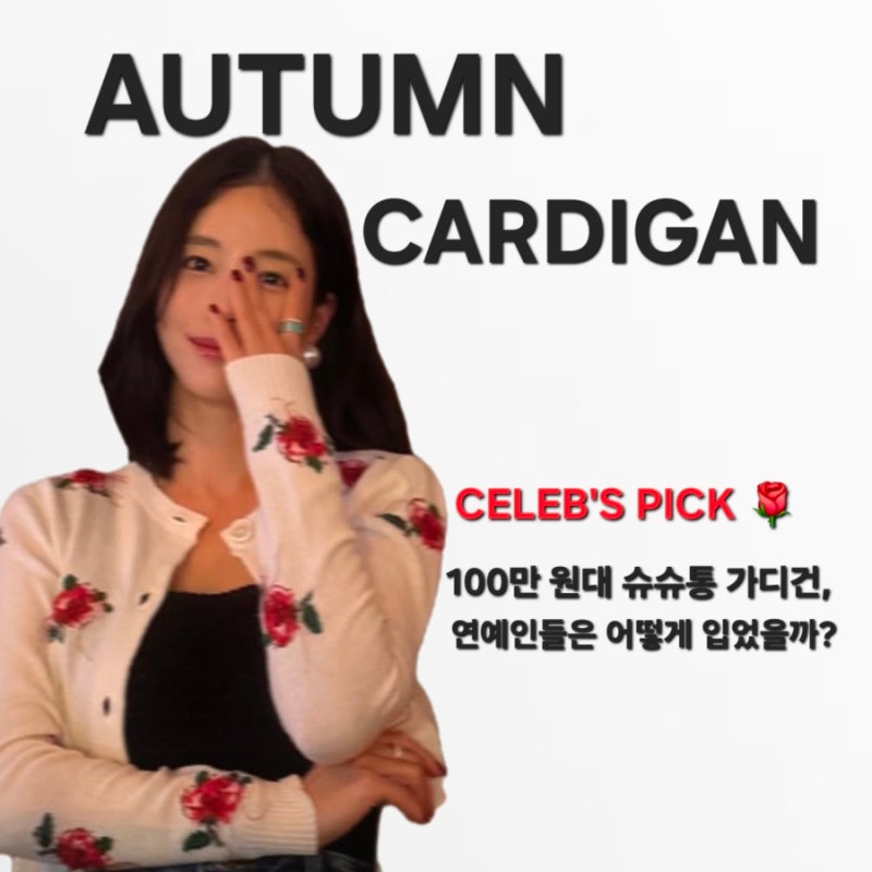 예쁜 사람은 다 입는 슈슈통 가디건! 기은세·아이유·문가영·원희 연예인 애착 착장 비교