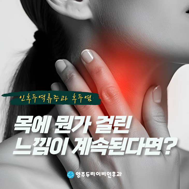 목에 뭔가 걸린 느낌이 계속된다면? 인후두역류증과 후두염 구분하기 - 양주 이비인후과
