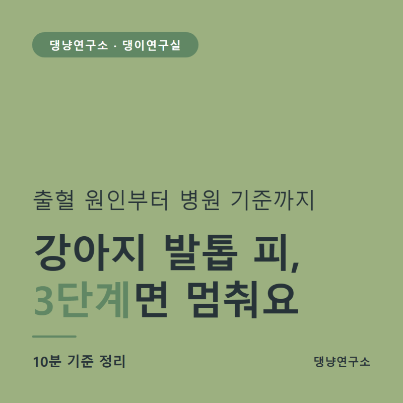 강아지 발톱 피 지혈 방법, 지금 당장 3단계부터 병원 기준까지