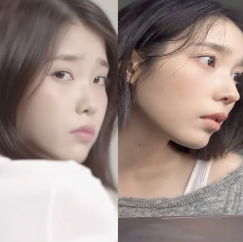 "6th album postponed, but new song out today"... IU's profile: age, real name, MBTI, Lee Jong-suk, comeback
